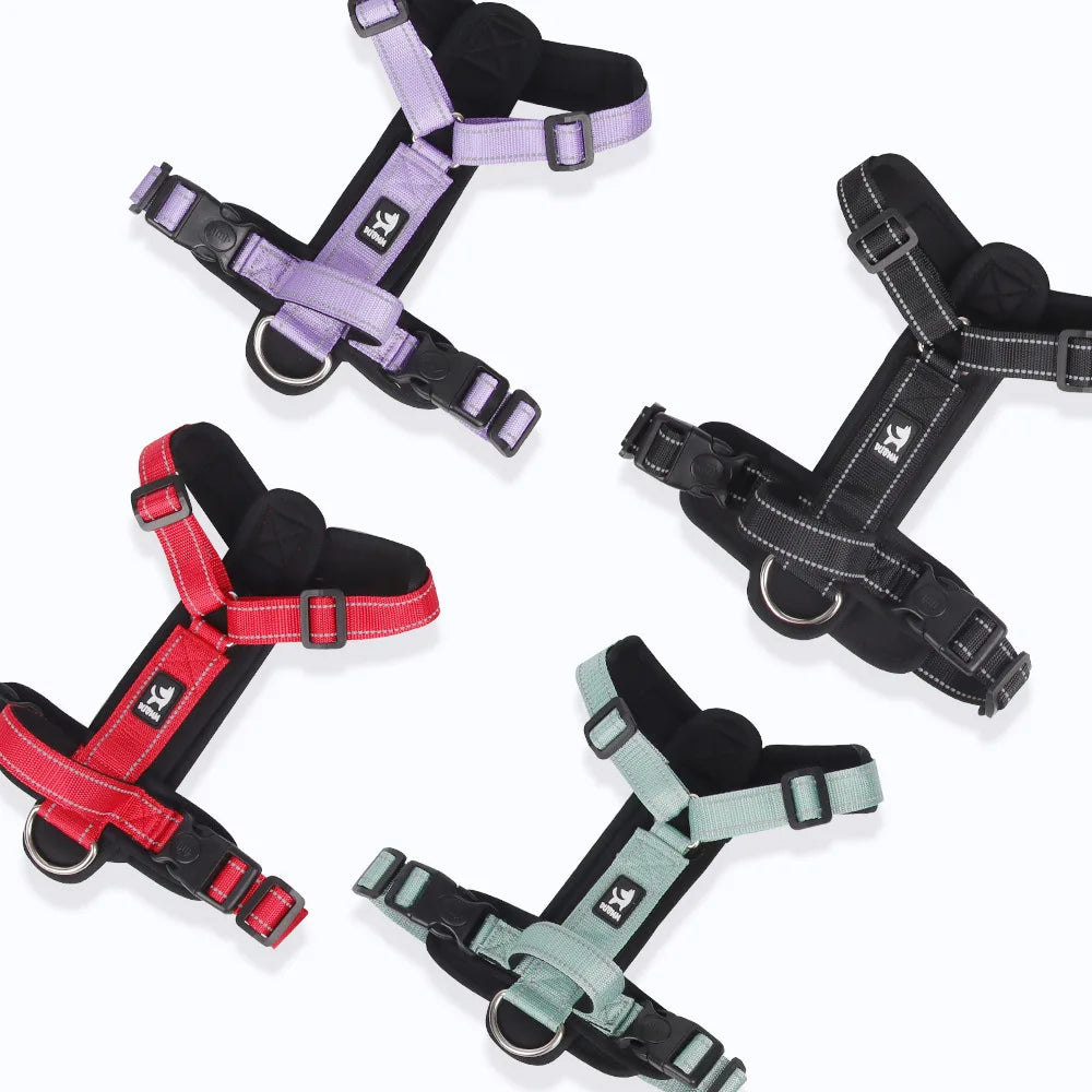 ReflectPro Dog Harness & Leash Set