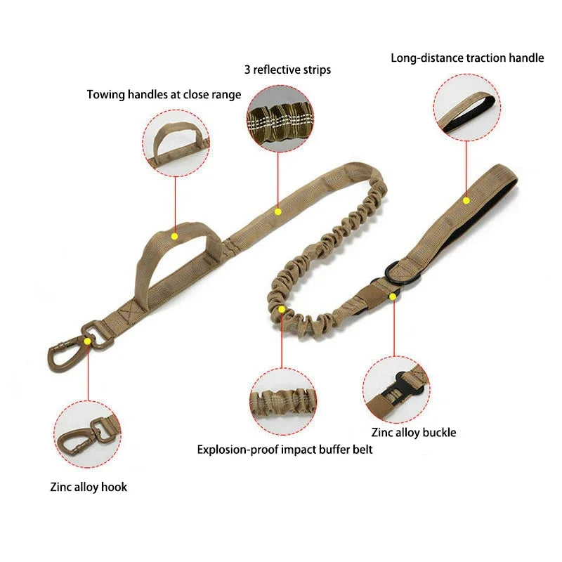 Tactical Nylon Dog Collar & Shock-Absorbing Bungee Leash Set