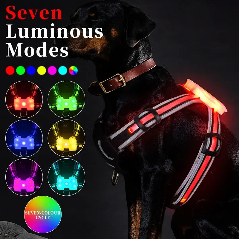 GlowSafe Rechargeable LED Dog Harness