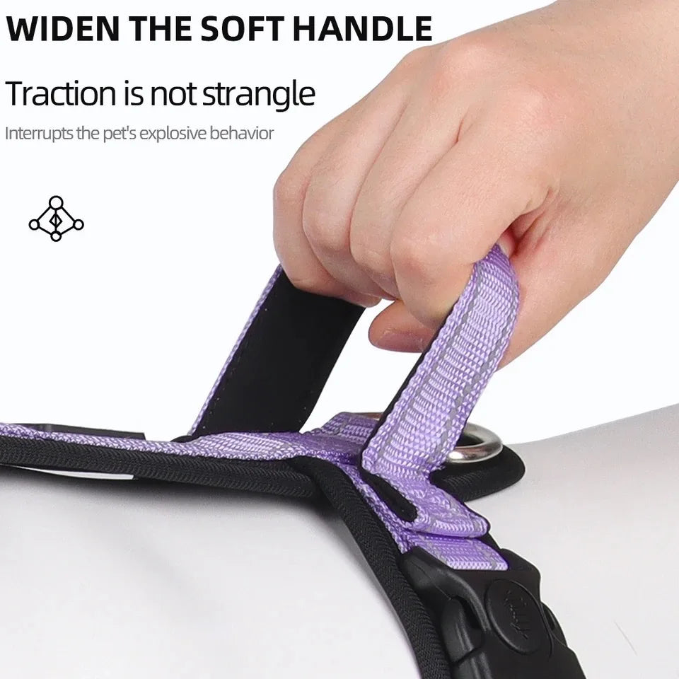 ReflectPro Dog Harness & Leash Set