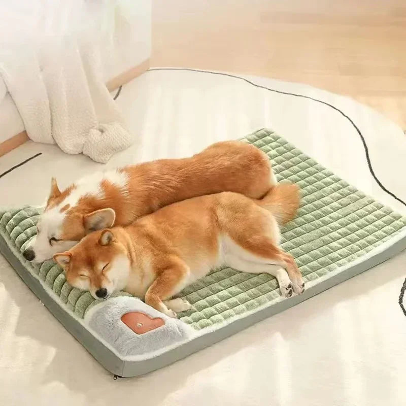 Orthopaedic Memory Foam Dog Bed