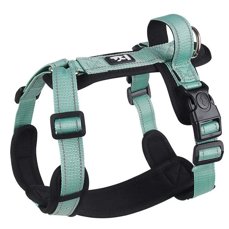 ReflectPro Dog Harness & Leash Set