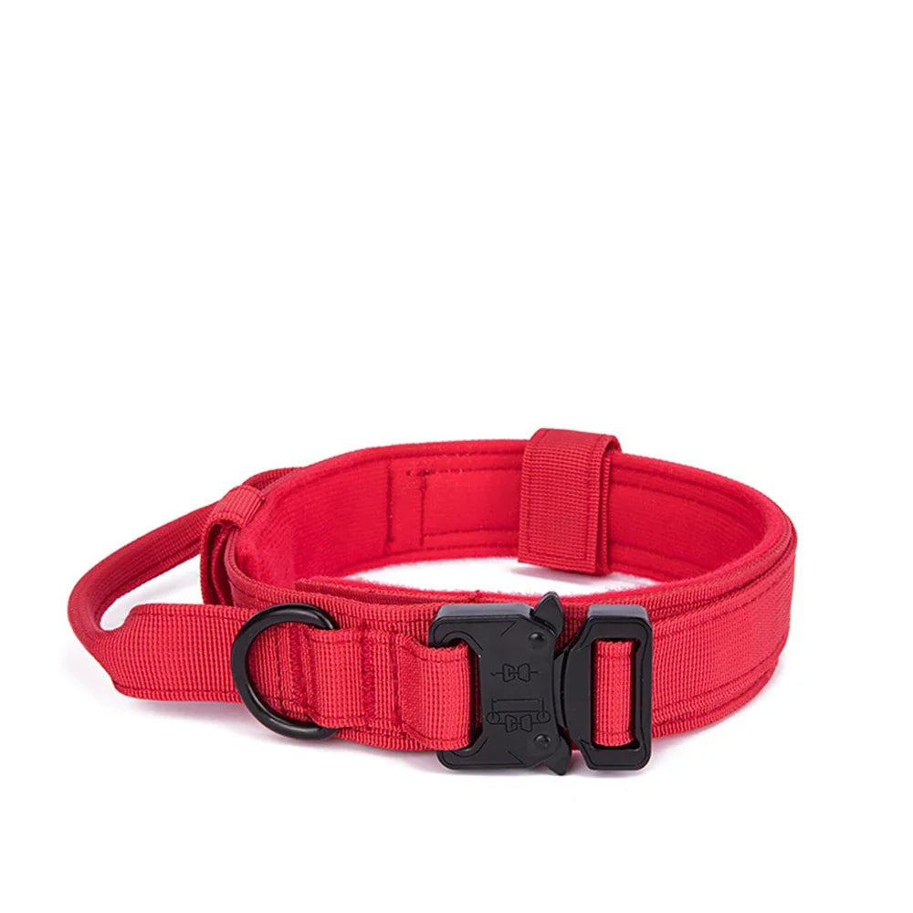 Tactical Nylon Dog Collar & Shock-Absorbing Bungee Leash Set