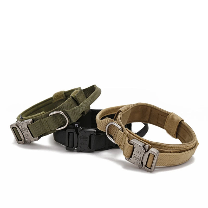 Tactical Nylon Dog Collar & Shock-Absorbing Bungee Leash Set