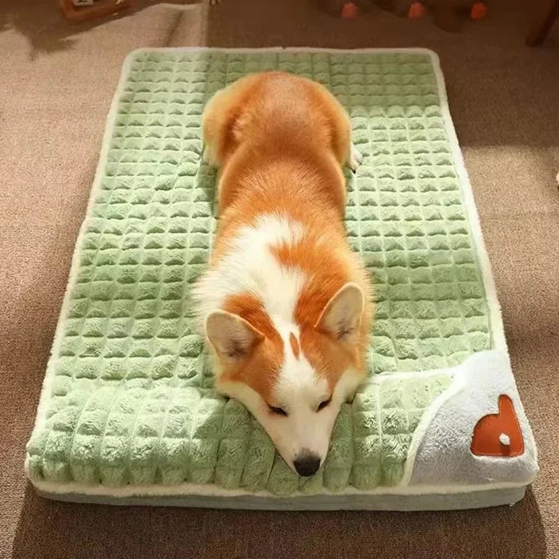 Orthopaedic Memory Foam Dog Bed