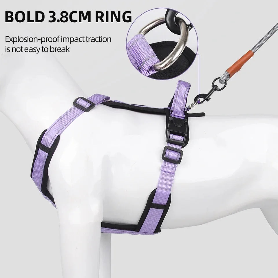 ReflectPro Dog Harness & Leash Set