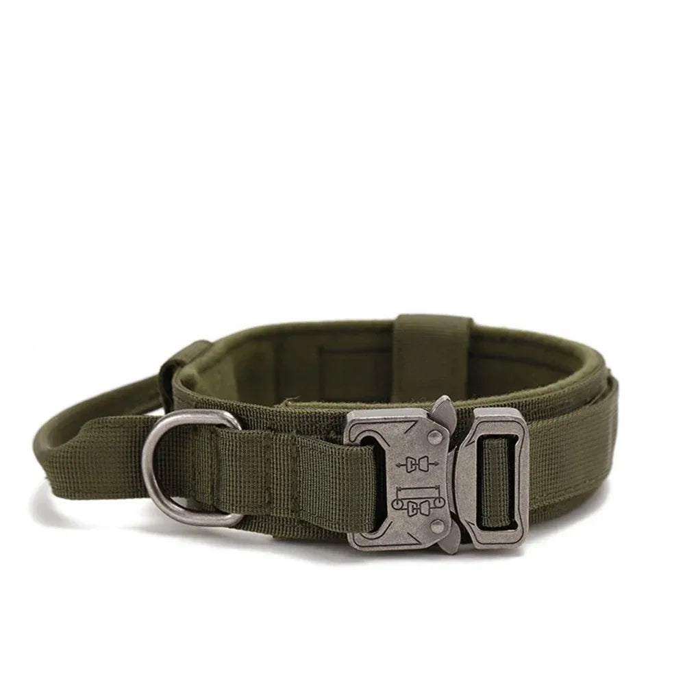 Tactical Nylon Dog Collar & Shock-Absorbing Bungee Leash Set