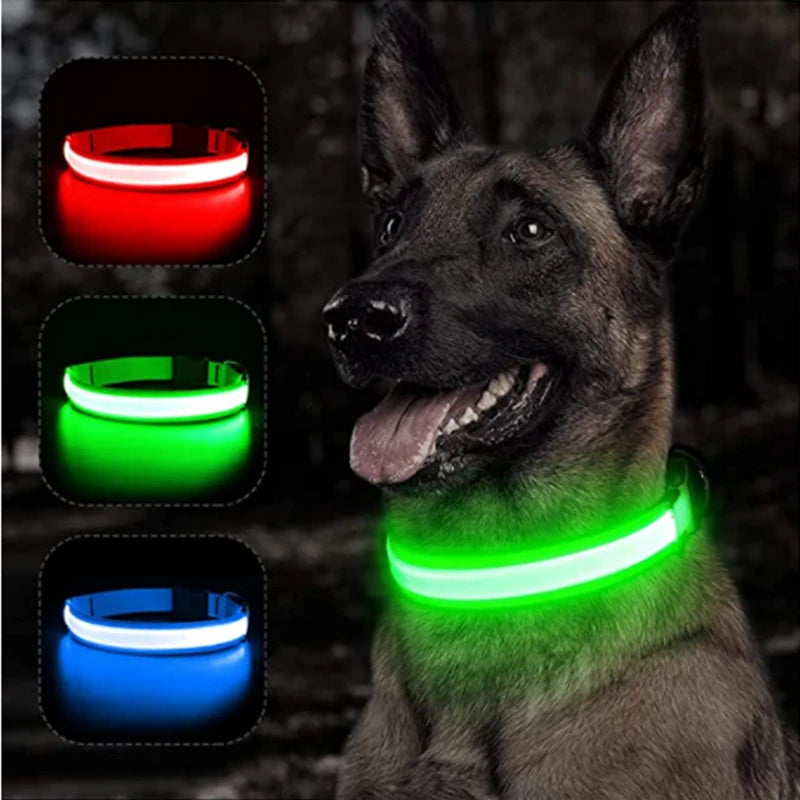 LumiGlow Rechargeable LED Dog Collar