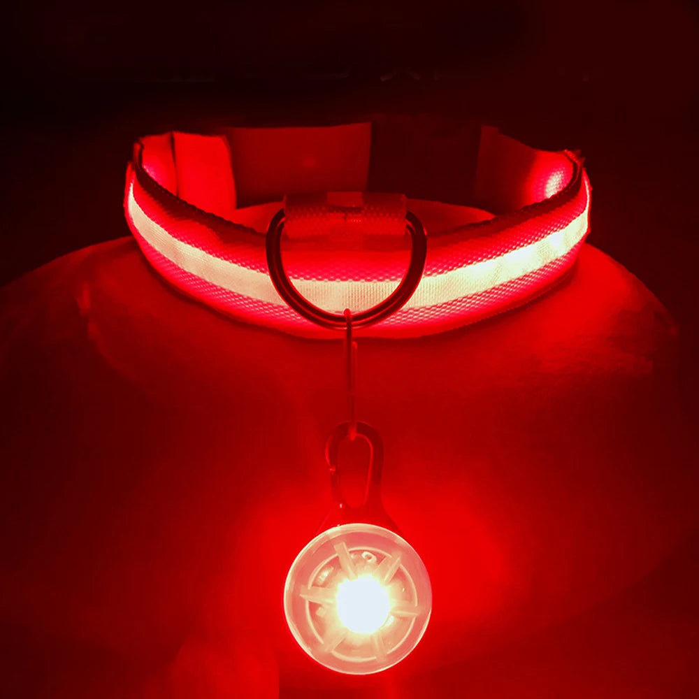 LumiGlow Rechargeable LED Dog Collar