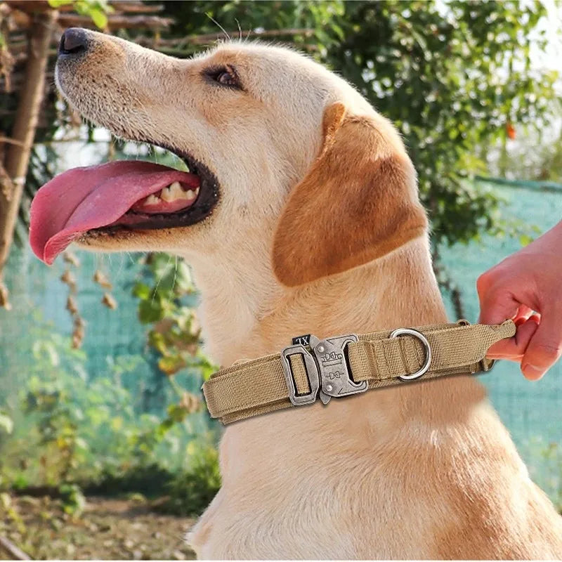 Tactical Nylon Dog Collar & Shock-Absorbing Bungee Leash Set