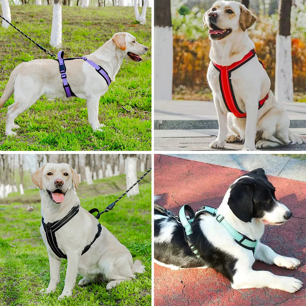 ReflectPro Dog Harness & Leash Set