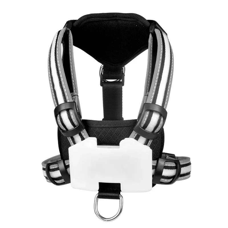 GlowSafe Rechargeable LED Dog Harness
