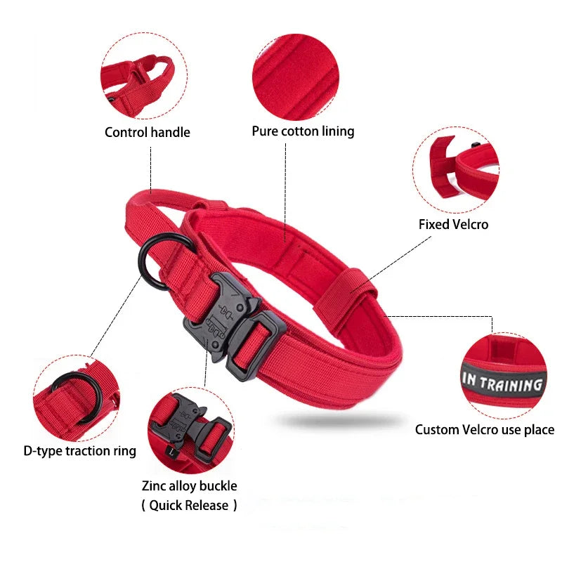 Tactical Nylon Dog Collar & Shock-Absorbing Bungee Leash Set